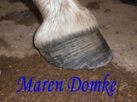 Abby May08 FR after 2nd trim