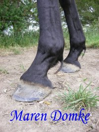 Leif 1st trim Dec'08 (7)