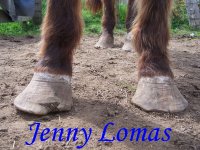 September 123 cushings