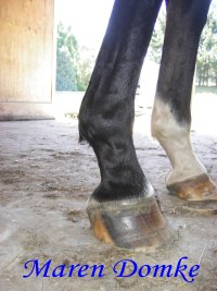 TP George Dec08 first trim (7)