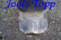 Vanessa York Aug 00102