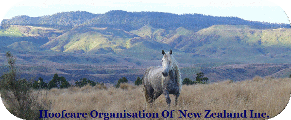 Hoofcare Organisation Of  New Zealand Inc.